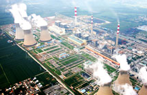 大蔥蟲(chóng)害解決方案